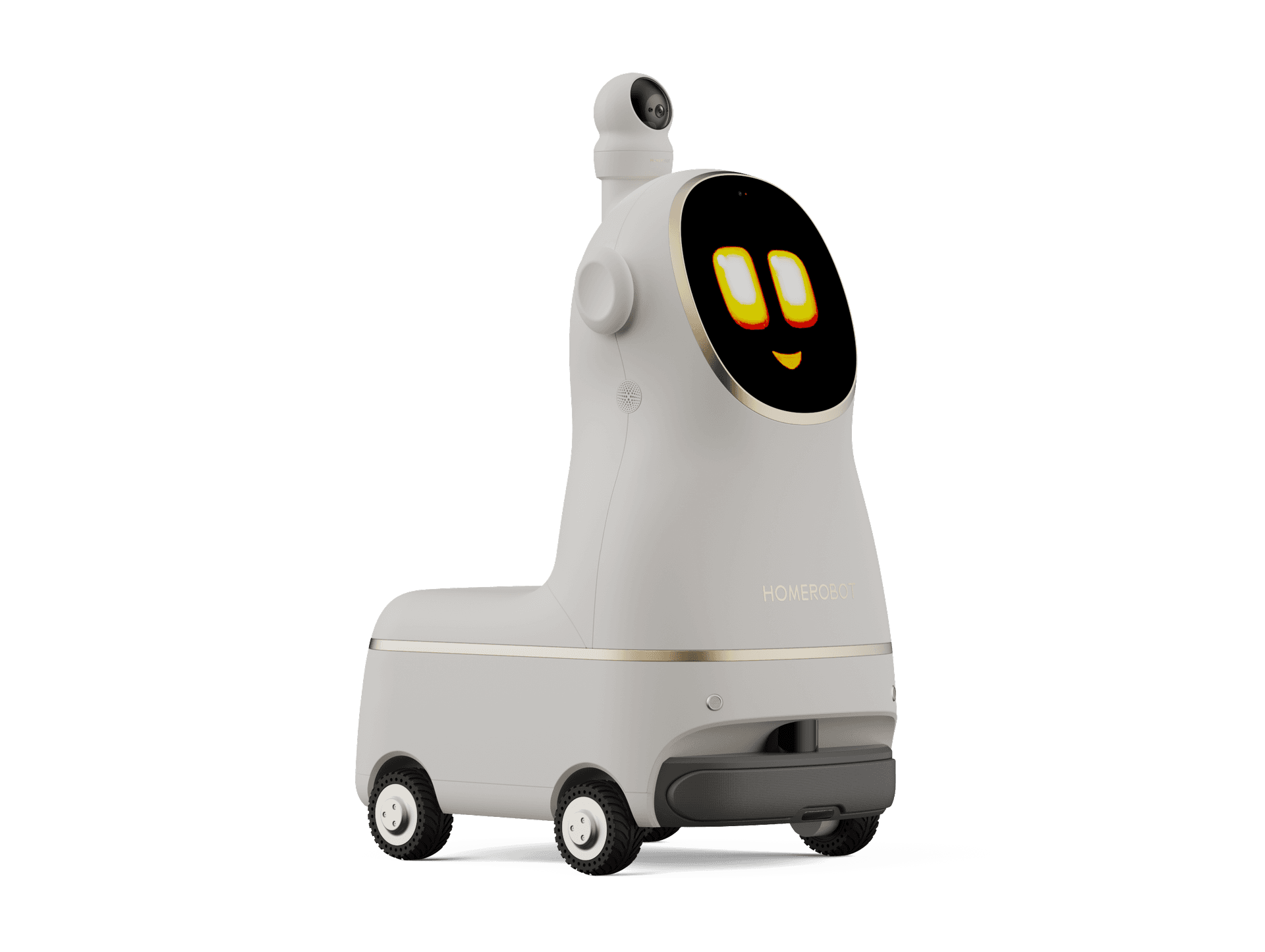 Alli - The Intelligent Elderly Care Companion